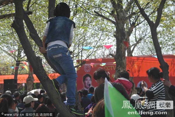 女粉丝爬上树观看