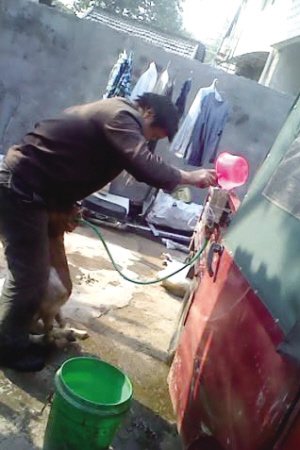 ĳڸˮ