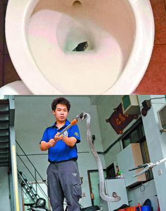 《联合报》图