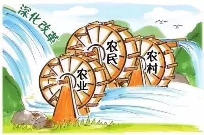 陈锡文论农村土地制度改革 - 环渤海财经网