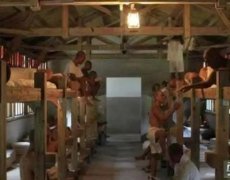 男女同床,是朝鲜奴隶集中营的最高奖励 - 环渤